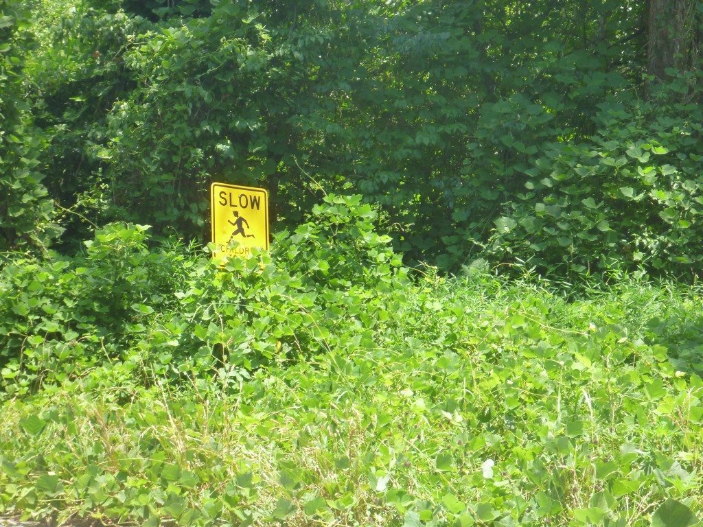 Kudzu-covering-sign