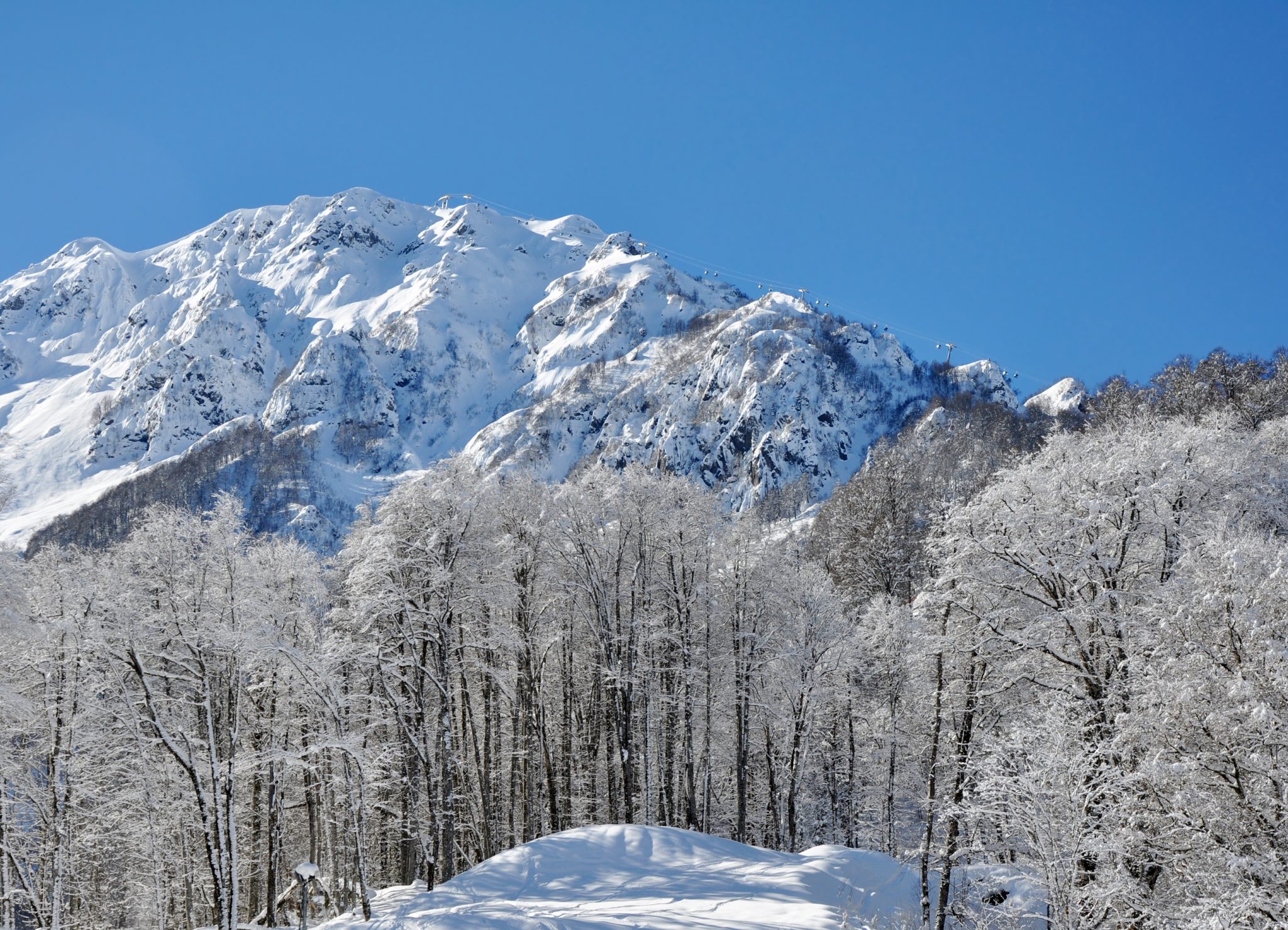 Krasnaya Polyana