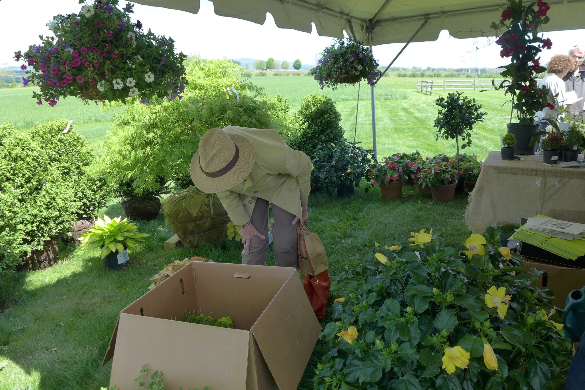 The event featured a well-organized system for processing your purchases. Orders were boxed or bagged and tagged with your individual buyer's number and moved to a marked location behind the barn. At the end of the day you just had to drive up and hard-working volunteers loaded your car.