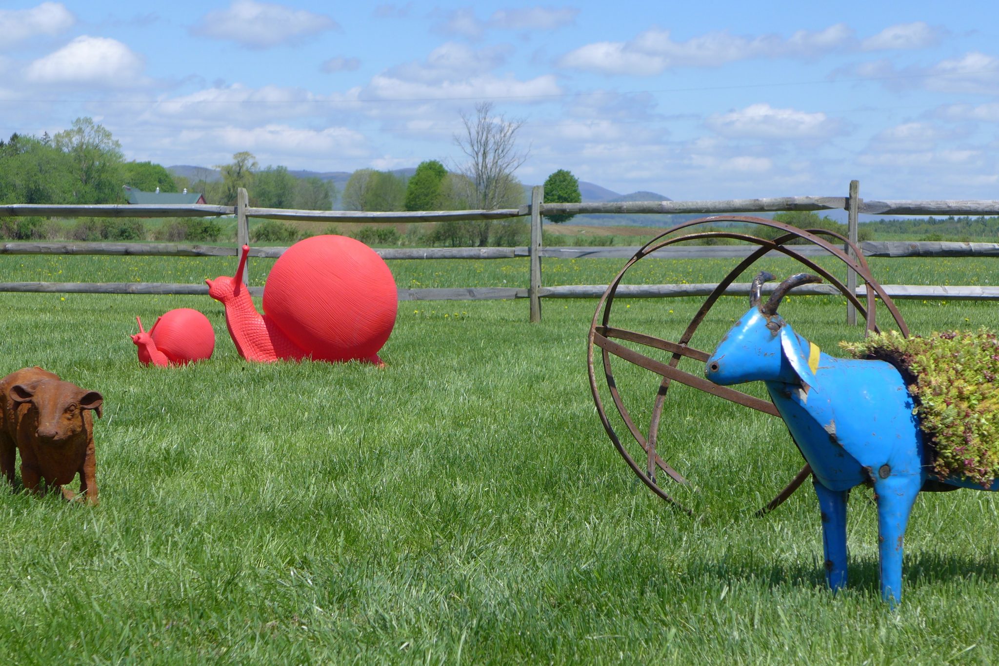 I drove through so many quaint hamlets with whitewashed churches and country kitchen-style restaurants that I can't wait to return and explore the rolling hills of Litchfield County.