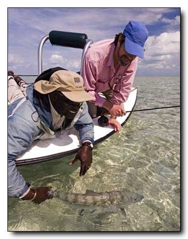 40-year veteran guide Stanley Glinton releases a 9-pound bonefish caught on Grand Bahama Island. photo credit: Mark Hatter