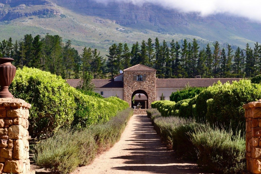 Driveway flanked by foliage at Waterford Estate in Stellenbosch, offering South Africa wine tours