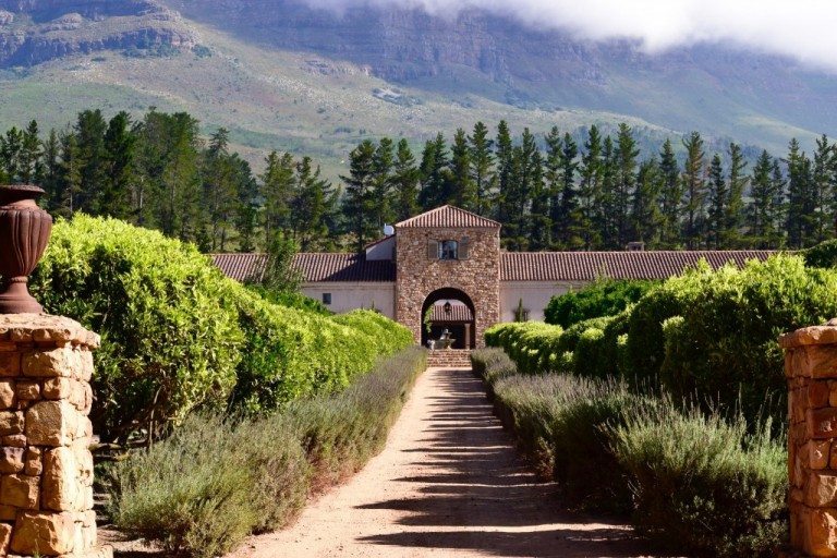 A Taste of Stellenbosch: Exploring South African Wines and Food