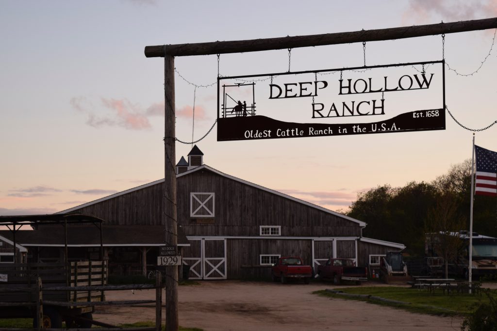 deep-hollow-ranch-montauk