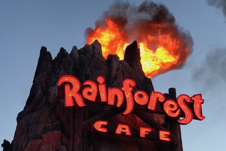 What to see at Disney Springs include an erupting volcano at the Rainforest Cafe and admission to Disney Springs is free.