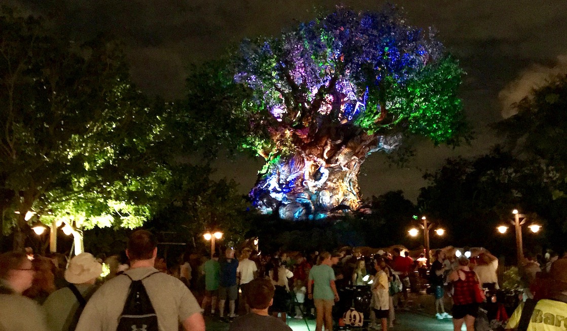 When visiting Pandora without a FastPass, be sure to catch the Tree of Life Awakening in Disney's Animal Kingdom.