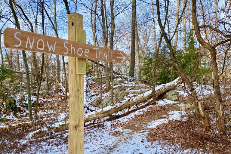 5 Winter Wonderful Hudson Valley Hikes