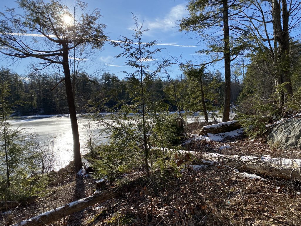 Bright sunshine reflects on Pelton Pond as seen from the hiking trail in winter.