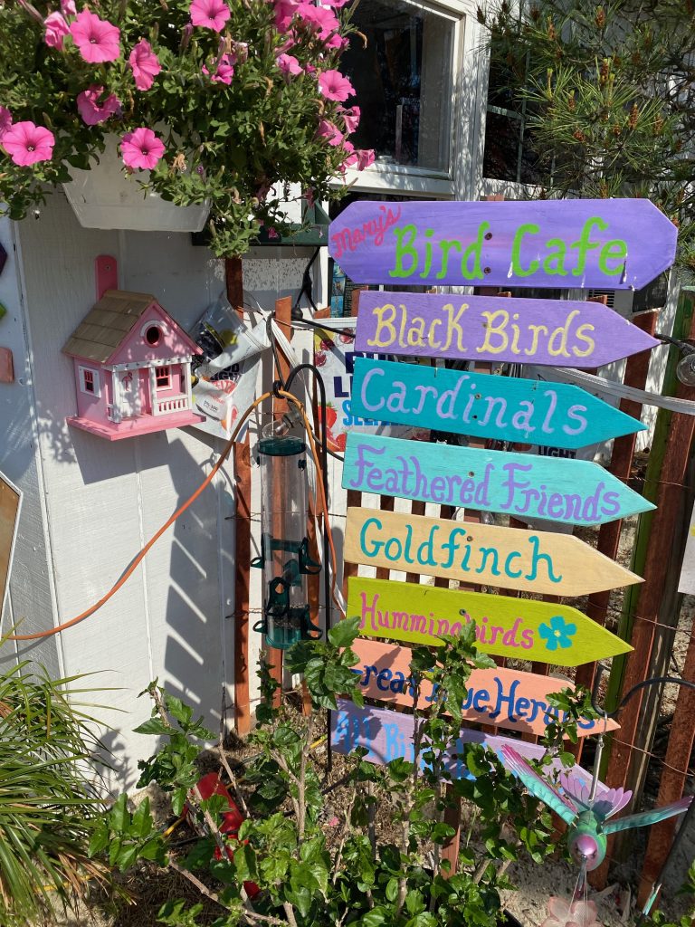 Colorful painted signs with bird names and a bird house in Delaware