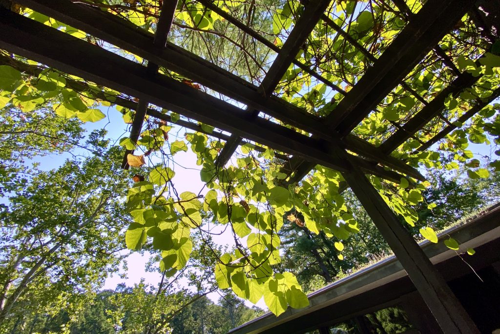 sunlight shines through pergola at Russel Wright's Manitoga