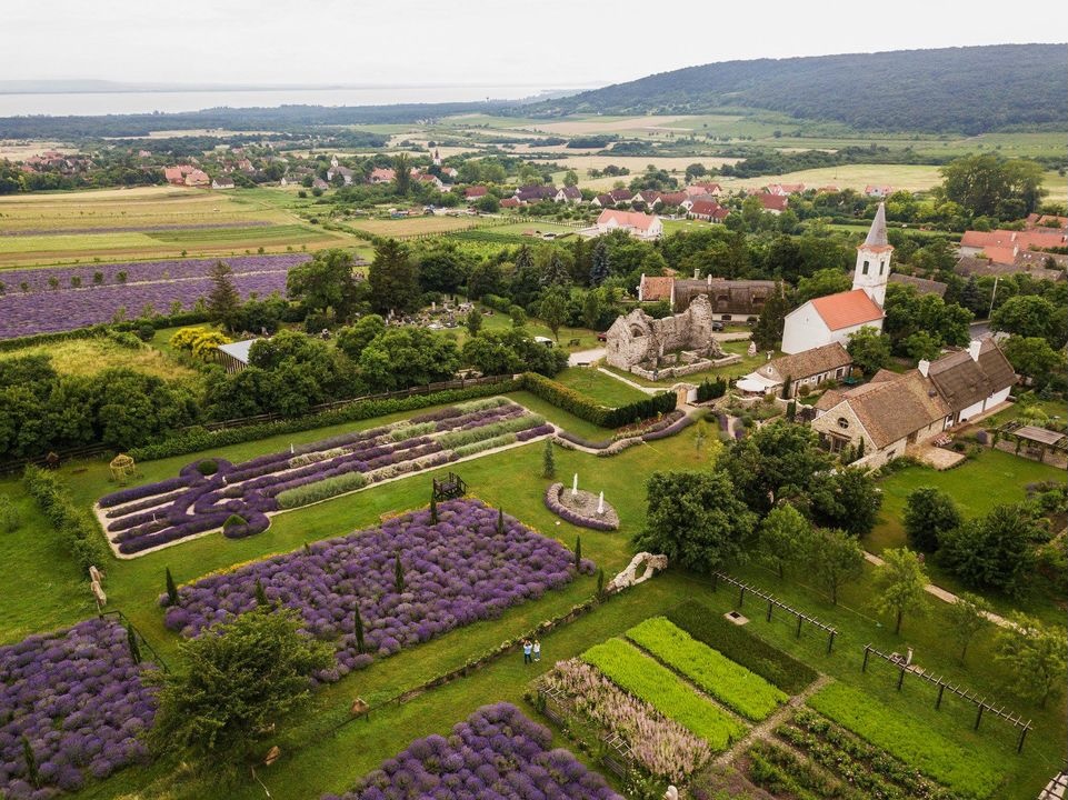 aerial view of Tihany Hungary lavender field